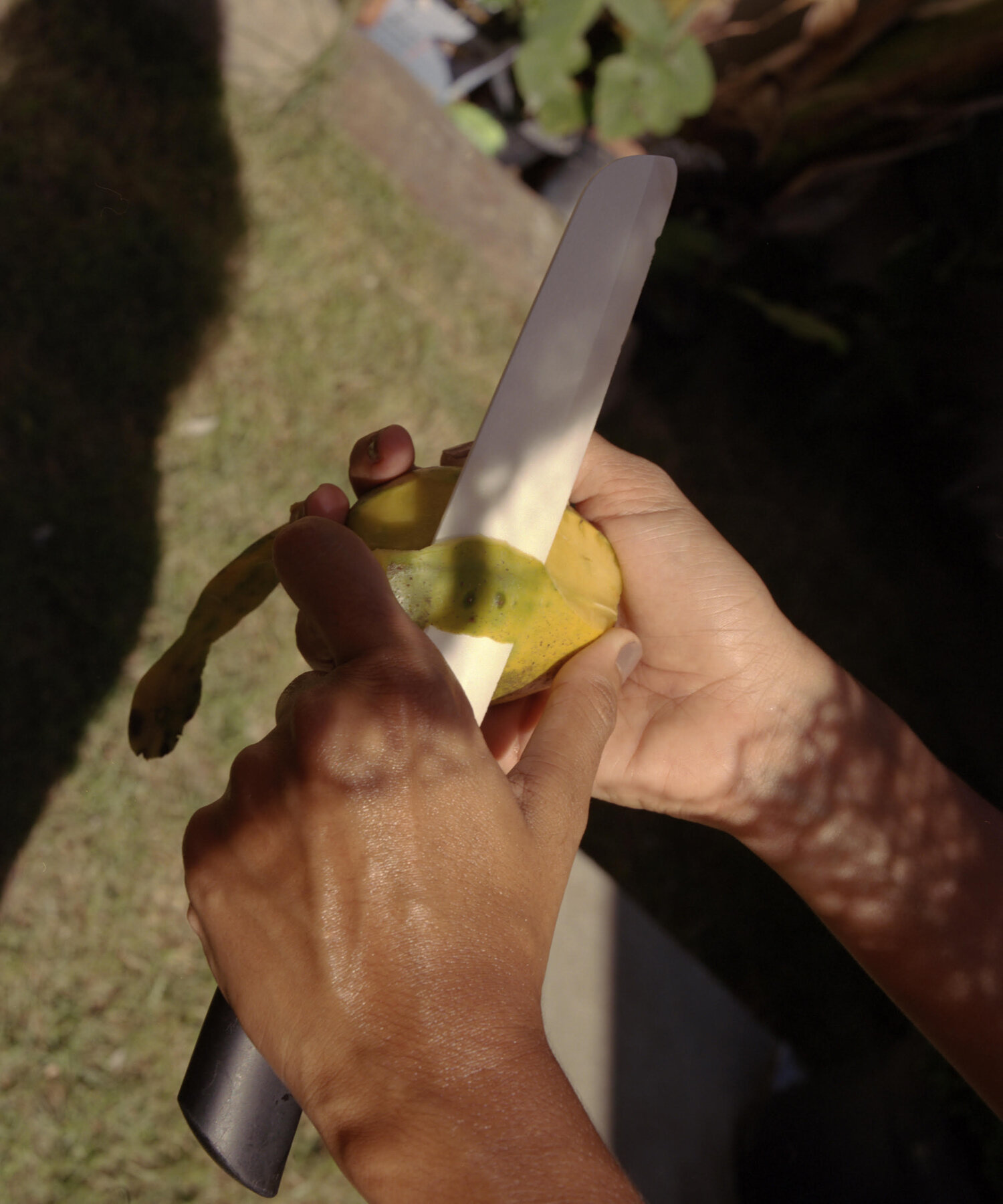 Peeling fruit